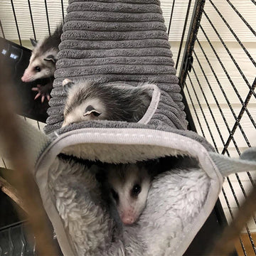 Tunnel del criceto di amaca caldo invernale per piccoli animali per aliante di zucchero tubo di swing letto nido letto ratto panoramica accessori gabbia
