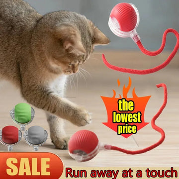 Cat Interactive Ball Training Selvbevegende kattunge elektriske kattekule leker elektronisk automatisk rullende magiske ballleker for katt