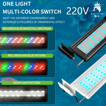 220 V: n kalan säiliö LED LED -LIGHT JALLA RUOKAUS PUNAINEN VIHREÄ SININEN LIGHT