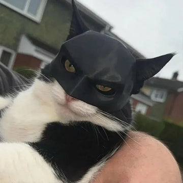 Gave Black Bat Cat Avenger Mask Cute Matte Bat Mask Cool Superhero Pet Toys for Cats and Dogs