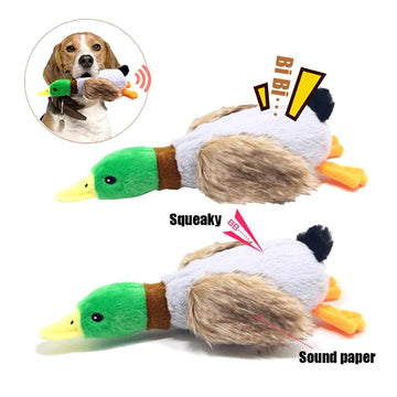 Drăguț Duck Duck Dogs Squeak Toys Patu de companie amuzant Play Interneptive Chew Jucărie pentru mici câini medii pentru animale de companie accesorii accesorii