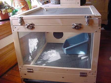 How to Clean a Rabbit Hutch