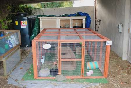 how to build a rabbit hutch for outside1