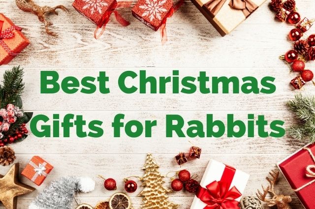 Best Christmas Gifts for Rabbits