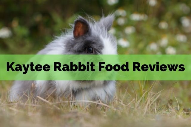 Kaytee Rabbit Food Reviews
