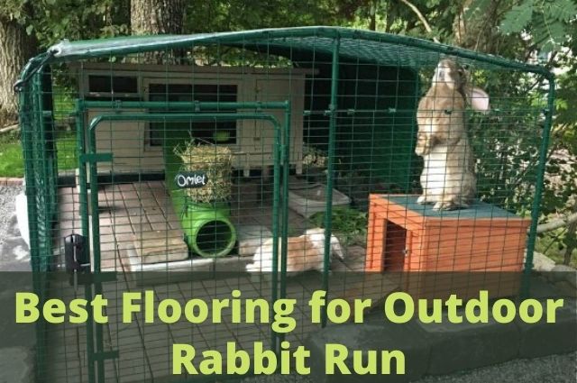 Best Flooring for Outdoor Rabbit Run